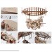 ROBOTIME 3D Puzzle Brain Teaser Games Wooden Laser-Cut Air Vehicle Kits Engineering Toys STEM Learning Kits Mechanical Gears Set Best Birthday Gifts for Adults to Build B07BBLKDW9